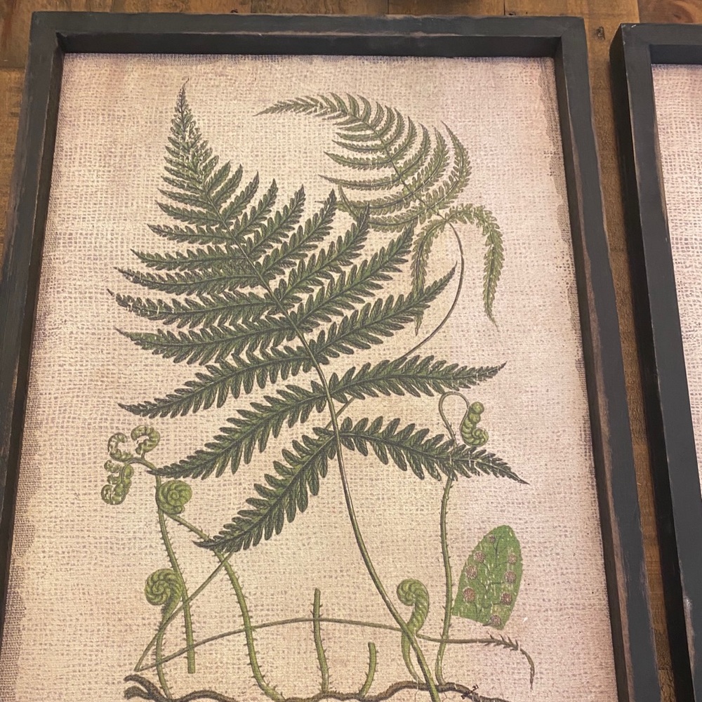 Vintage Fern prints on burlap